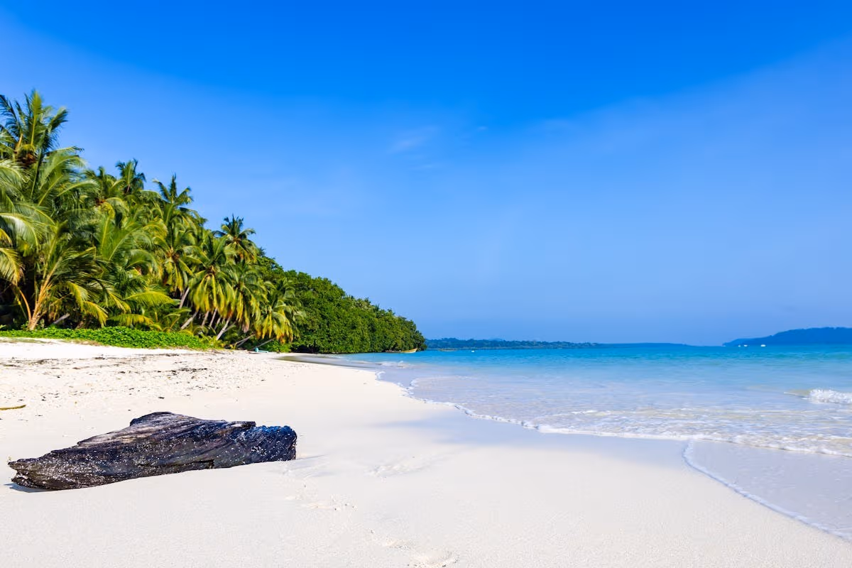 Andaman honeymoon